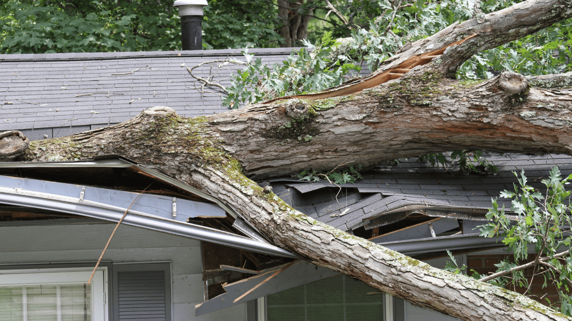 Roof Repair